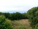 PICTURES/Shenandoah National Park/t_View From Our Balcony2.JPG
